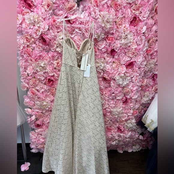 Cecilia Couture 2116 Size 10 Champagne Lace Tie Up Back Ball Gown Dress NWT - Picture 4 of 6